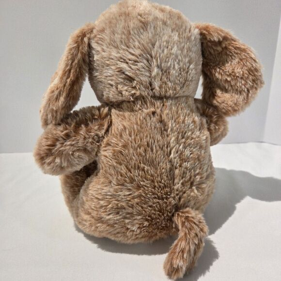 Random Mixed Lot Of Dog Toys Petsmart Chance 2024 Giftable World Witch... - Picture 8 of 8